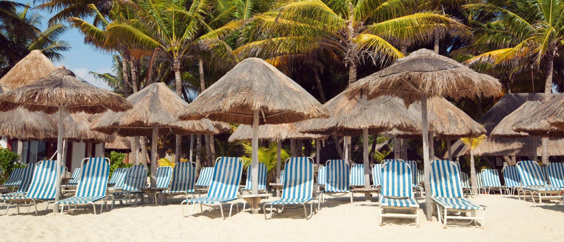 Beach chairs and umbrellas on a beach with palm trees.